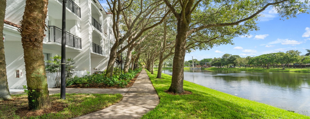 A beautiful sidewalk, trees and body of water, in front of buildings